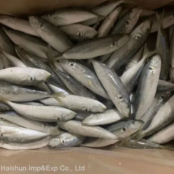 Frozen Round Scad; Horse Mackerel With Small Eyes