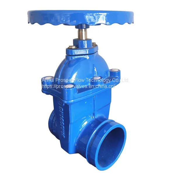 Hot Sales Cast Iron Gate Valve Supplier Gate Valve Gate Valve