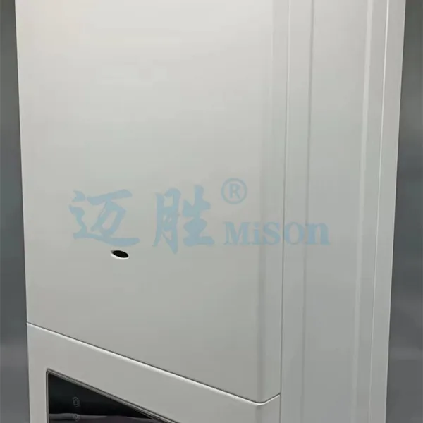 Small Water Boiler Tankless Wall Mounted Natural Gas Water Heater Natural Exhaust Lpg Gas Geyser Instant Ng Water Heater photo-2