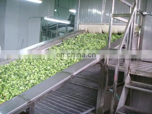 Food Quick Freezing Machine/iqf Tunnel Freezer photo-3