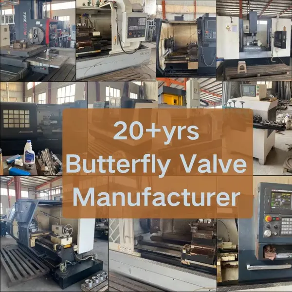 OEM Asme Manual 2 3 4 6 8 Fast Delivery EPDM PTFE SS304 SS316 Wholesale Butterfly Valves for Oil Acid Control Direct China photo-5