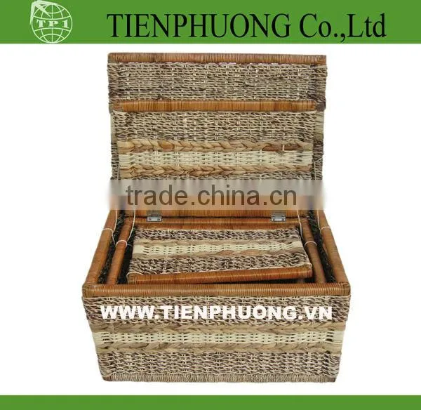 Large Storage Trunk With Lid