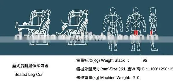 Gym Use Best Selling Fitness Equipment/ Seated Leg Curl /TZ-6001 photo-4