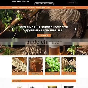 Ecommerce Website Designer photo-2