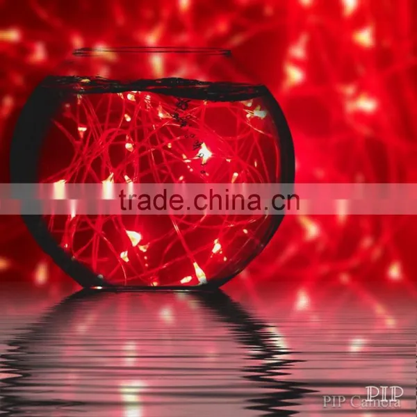 Battery Operated Mini Led String Lights for Craft photo-5