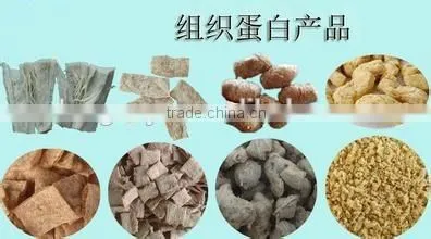 Tissue Proteins Extruder Machine/Equipment photo-3