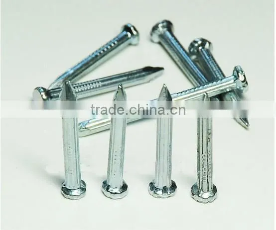 Good Quality Nails and Low Price Concrete Nails/ Steel Nails From China Golden Supplier