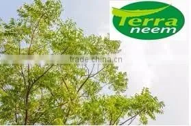 GUARANTEED NATURAL & PURE NEEM OIL photo-5