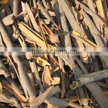 2014 Cassia Broken