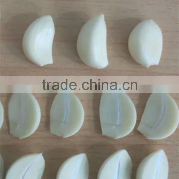 Fresh Garlic-Normal White Fresh Garlic
