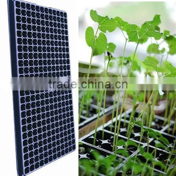 Seed Tray