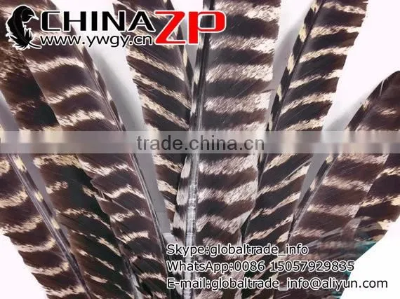 Beautiful Plume Crafts Wholesale Cheap Bulk Dyed Wild Turkey Feathers photo-2