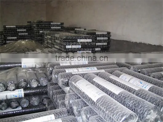 Hot Dipped Galvanized Hexagonal/pvc Hexl Wire Mesh photo-6
