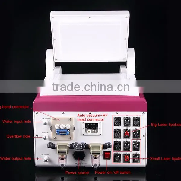 Osano Hot Sale Venus Lipo Laser Machine and Vacuum Roller Massage Cryo Slimming Machine photo-4