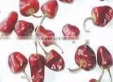 Mundu Red Chilles From India photo-3