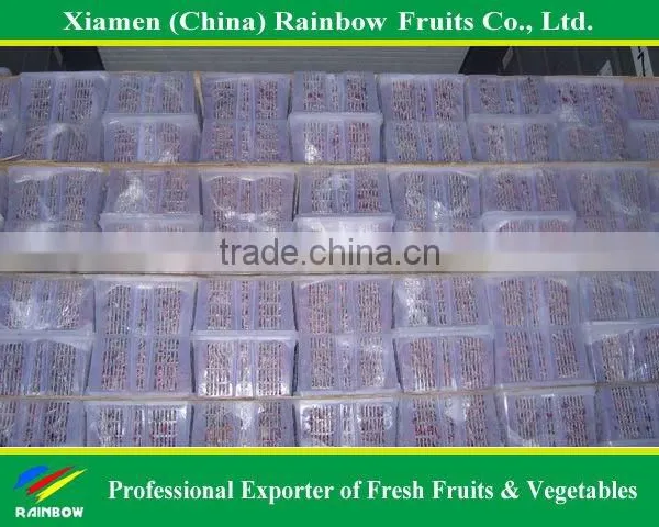 Top Quality Fresh Sweet Yunnan Red Grapes for Sell With POP SGV Brand photo-2