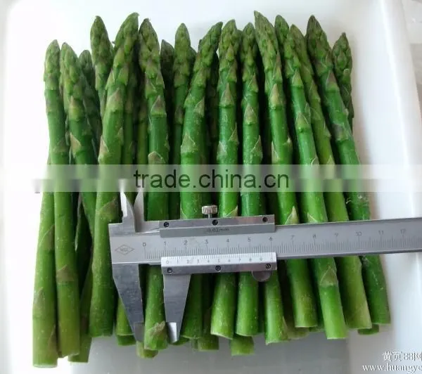 Frozen Fresh Green Asparagus
