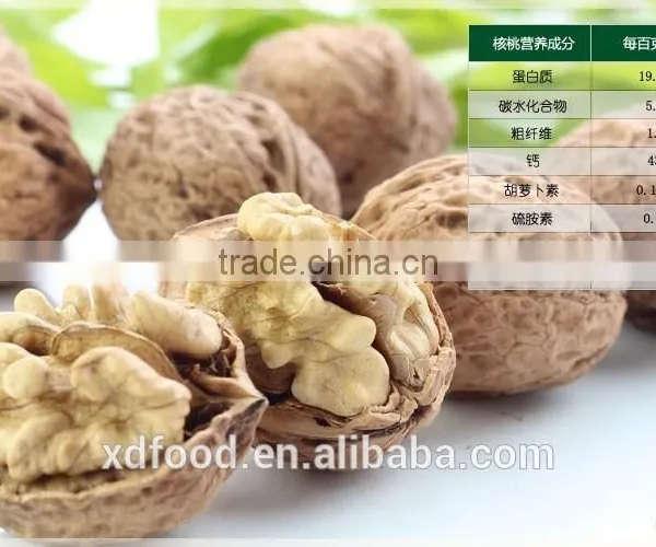 High Quality Walnut Kernel With Good Price,shelled Walnut Kerne,l Natural LH Walnut Kernel