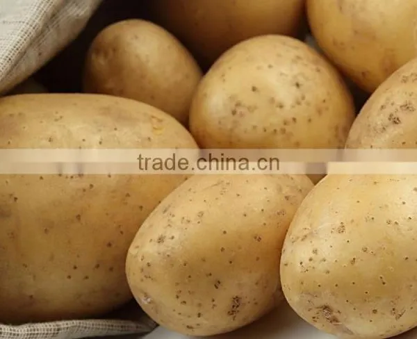 Fresh Bulk Potatoes for Sale 2016 Crop photo-5