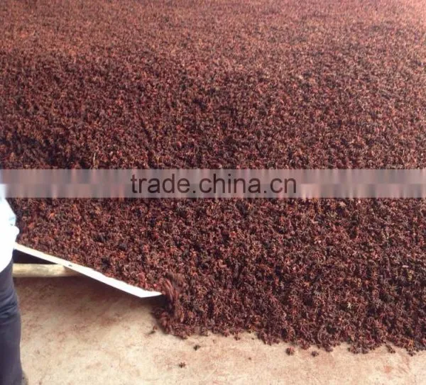 VIETNAM AUTUMN STAR ANISEED photo-5
