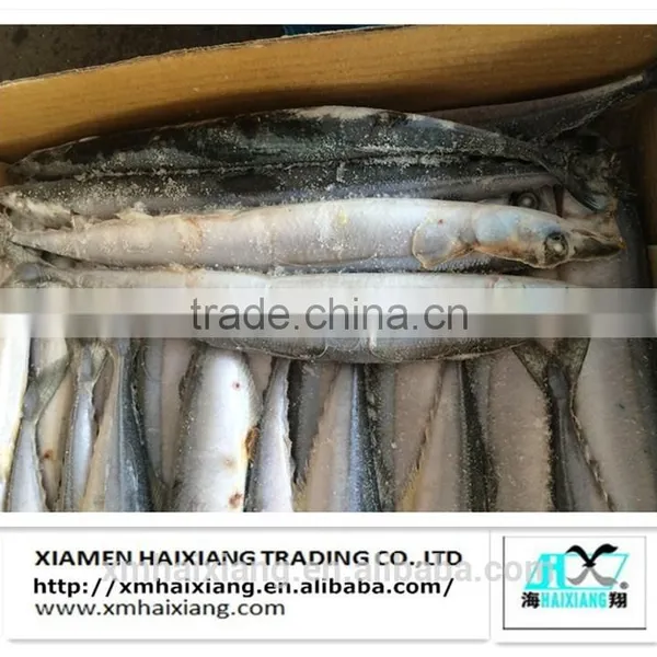 Frozen Fish-Saury Fish photo-5