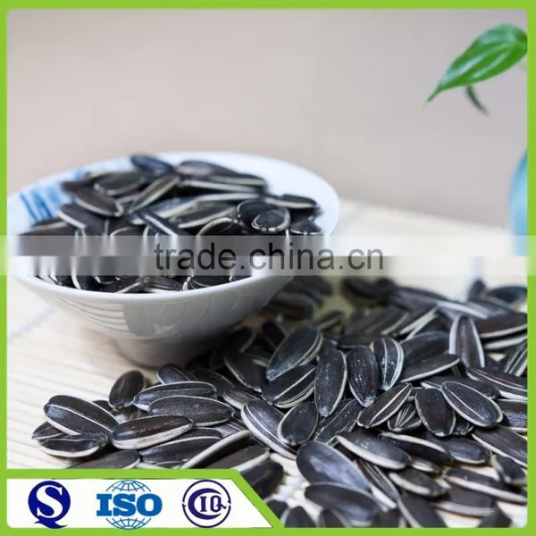 Long Shape Chinses 5009 Sunflower Seed Nut
