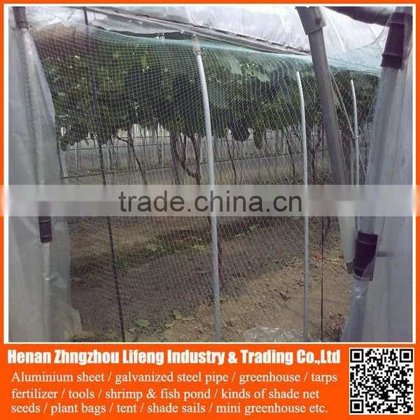 Nylon Anti Bird Netting , pe Greenhouse Protective Bird Hunting Device Net , Plastic Plant Fruit Support Safety Net Wire Mesh