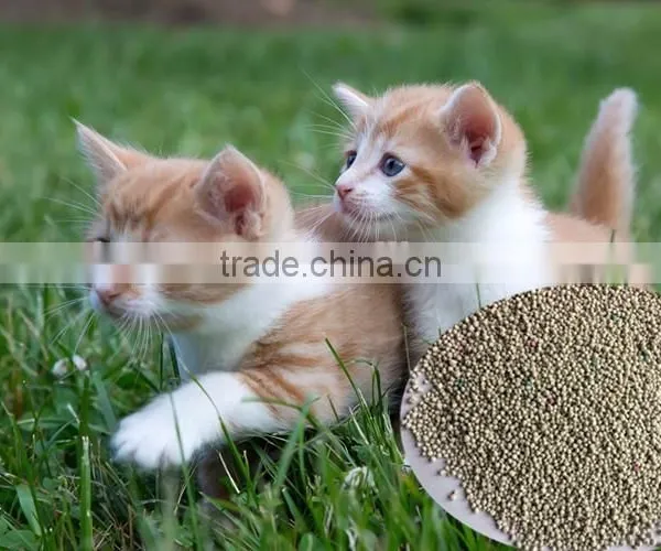 Wholesale High Absorbent Bulk 100% Sodium Bentonite Cat Litter for Sale photo-5