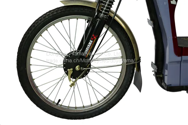 South Asia Market Cargo Loading Bike Electric Bike Electric Bicycle for Wholesale photo-2