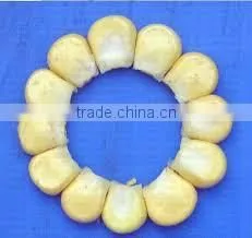 Corn Thresher /electric Sweet Corn Sheller Machine photo-4