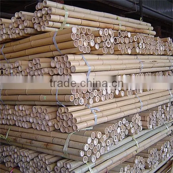 Natural Factory Moso Bamboo Poles Sale photo-4