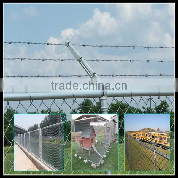60*60mm Mesh Size Hot Dipped Galvanized Chain Link Fence for Sale photo-5