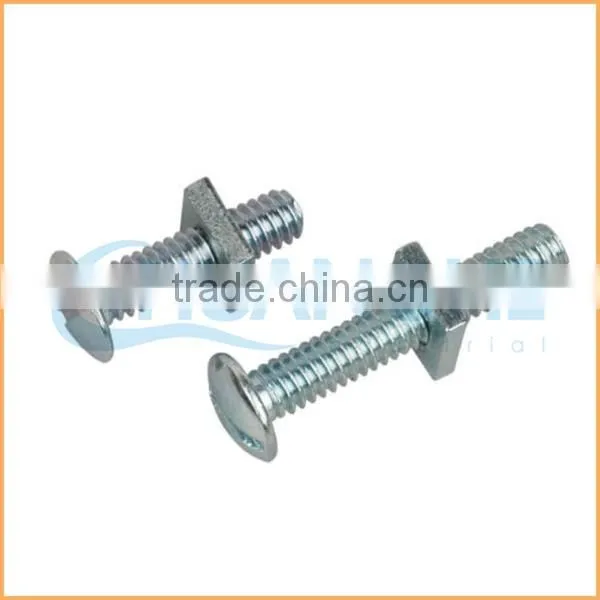 China Supplier High Tensile Bolt and Nut photo-4