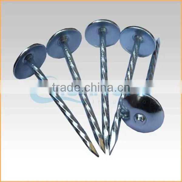 Top Quality Best Quality and Cheaper Big Head Roofing Nails Trusted Chuanghe Suppliers From Com photo-5