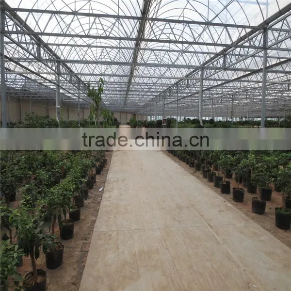 Polycarbonate Greenhouse photo-2