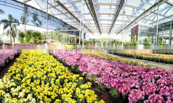 Glass Greenhouse-2 photo-5