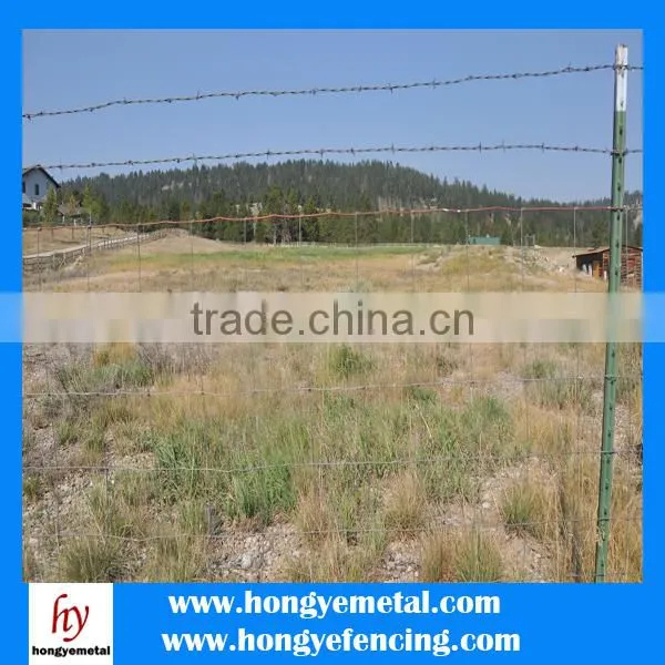 Low Price Hot Dipped Galvanized Grassland Fence photo-5