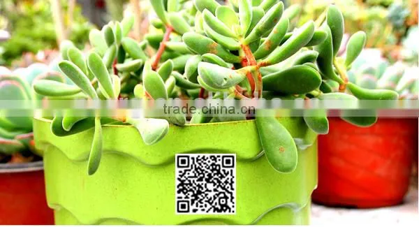 260*215 Biodegradable Colorful Plant Flower Pot Eco Planer photo-4