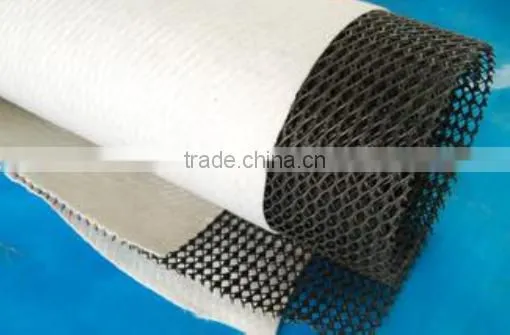 Composite Drainage Network/composite Geonet With Competitive Price