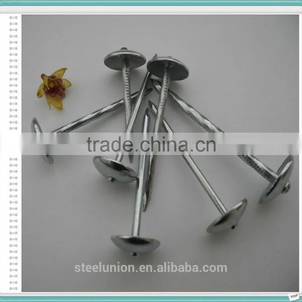 Galvanzied Roofing Nails /umbrella Head Roofing Nails photo-2