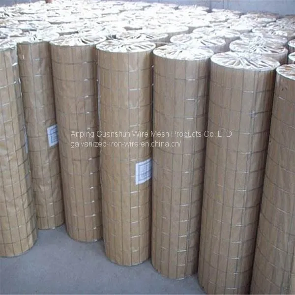 Welded Wire Mesh