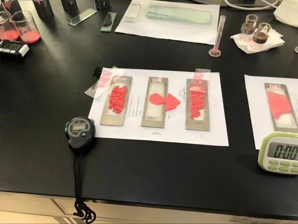 Chemical Absorbent Material Biodegradable Raw Material photo-2