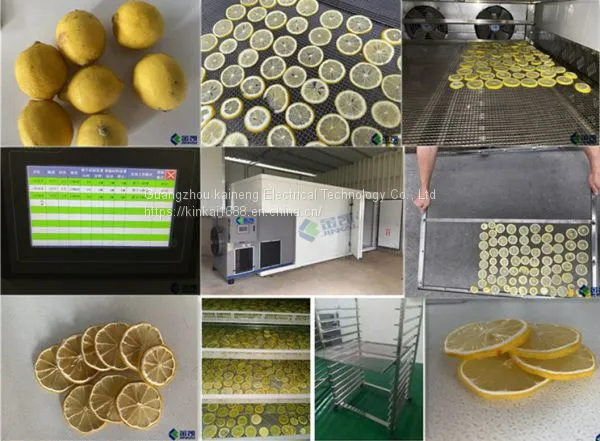 Lemon Dryer (slice Drying)