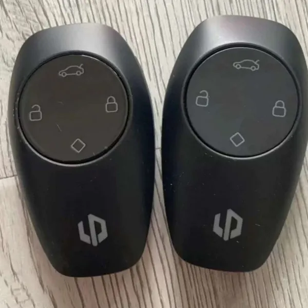 Leapmotor Car Key photo-2