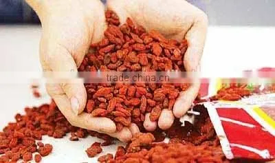 Zhongning Gouqi Berry photo-3