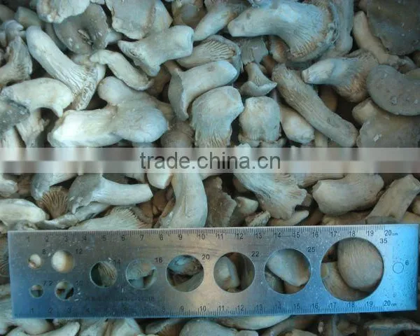 A Grade Big Frozen Fresh Baby Oyster Mushroom With Fda Haccp