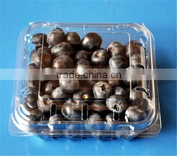 High Quality Plastic Fruit Box Container photo-5