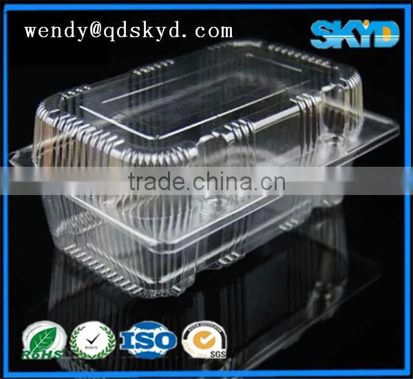 plastic food packaging container