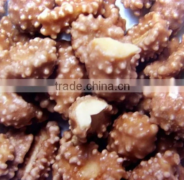 High Quality Sugar Coating Machine/ Coated Peanut Making Machine/ Peanut Coating Machine photo-2
