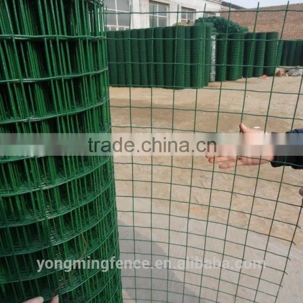 Galvanized and Powder Coating Welded Euro Fence for Sale photo-6